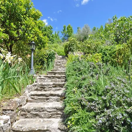 דירה Sleeps 4 T241257